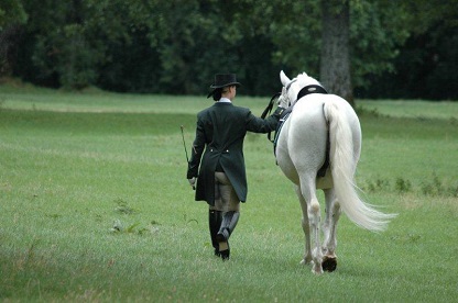 lipica-slovenia-lipizzaners-horses-airtrail-slovenia.jpg lipica-slovenia-lipizzaners-horses-airtrail-slovenia.jpg