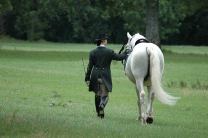 lipica-slovenia-lipizzaners-horses-airtrail-slovenia.jpg