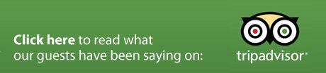 tripadvisor-banner-what-our-guest.jpg tripadvisor-banner-what-our-guest.jpg
